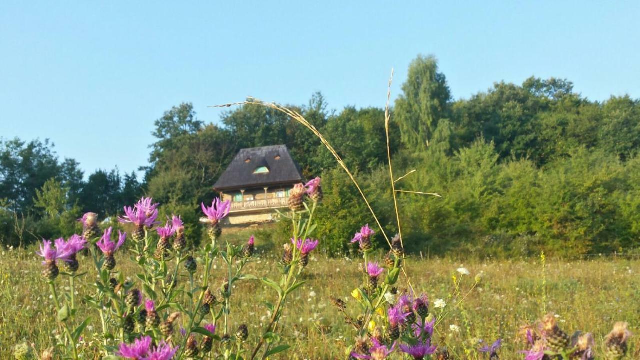 Penzion Casa Glod Glod  Exteriér fotografie