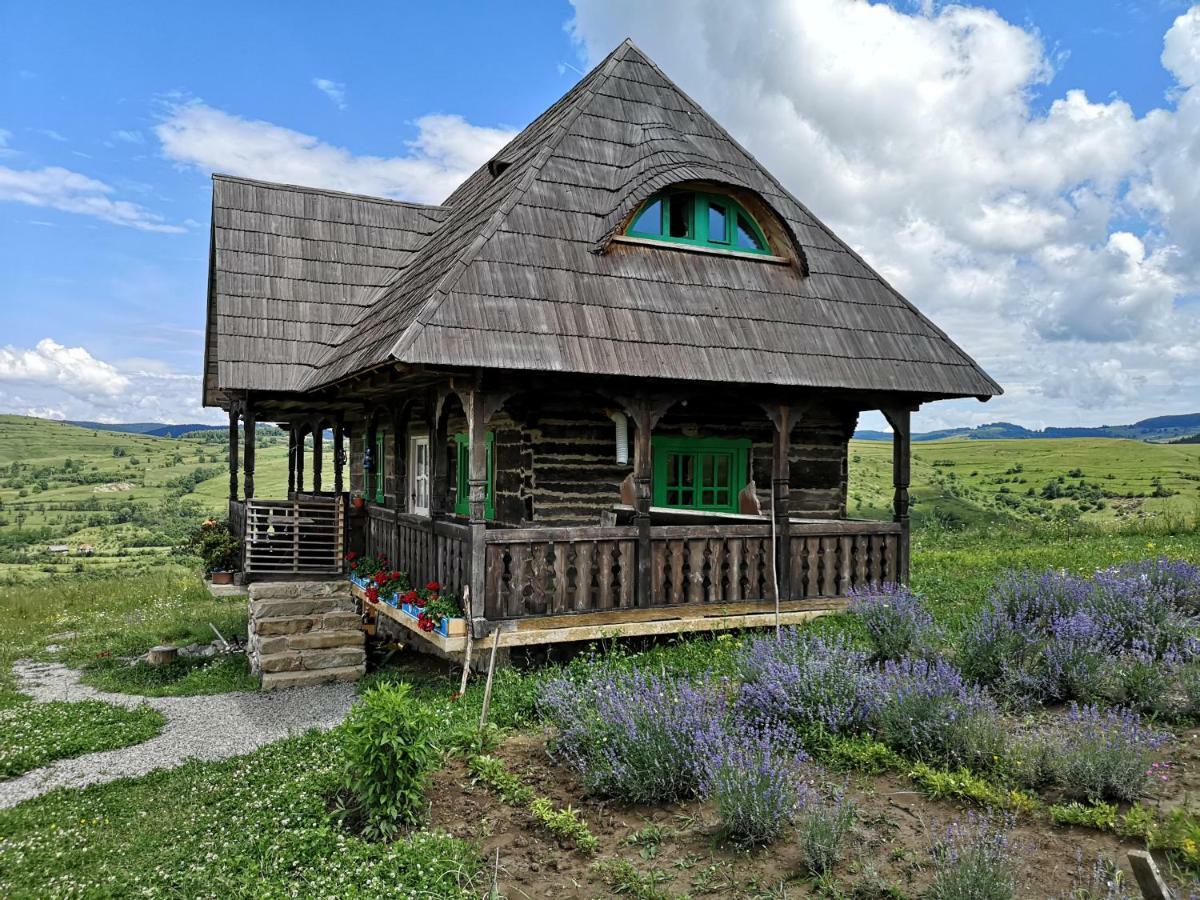 Penzion Casa Glod Glod  Exteriér fotografie