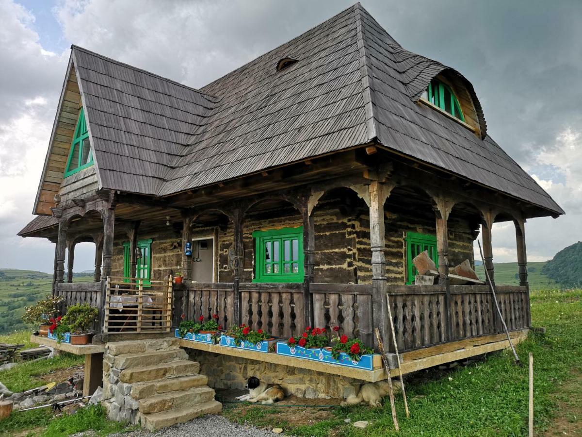 Penzion Casa Glod Glod  Exteriér fotografie