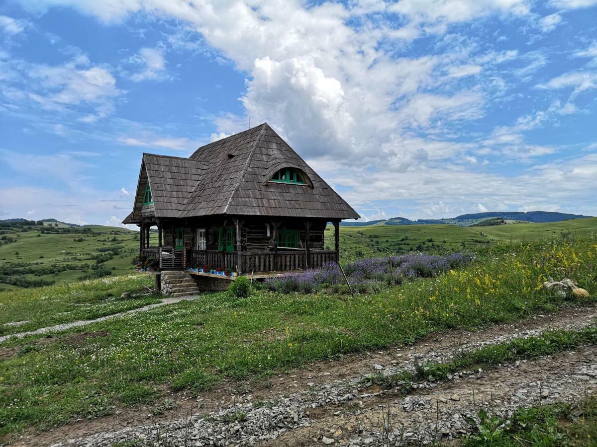 Penzion Casa Glod Glod  Exteriér fotografie