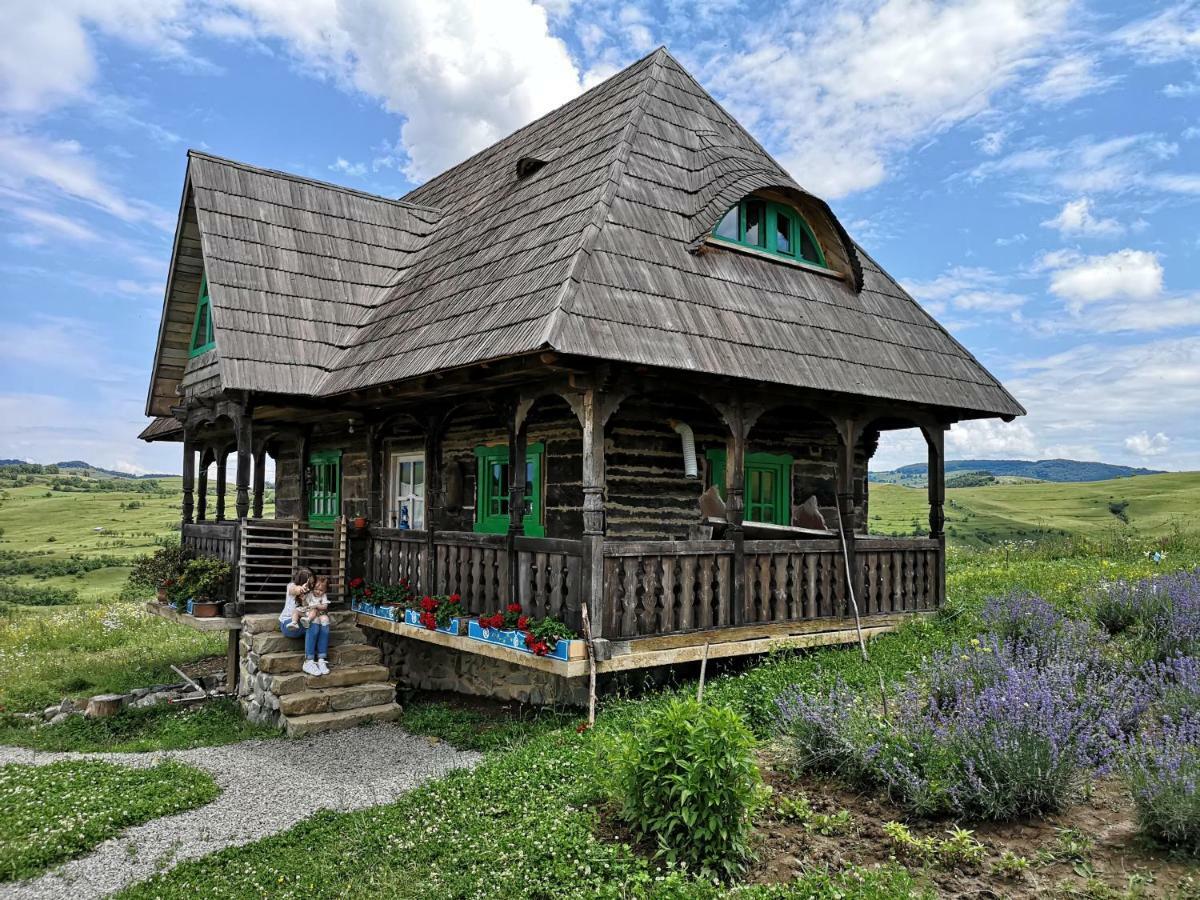 Penzion Casa Glod Glod  Exteriér fotografie