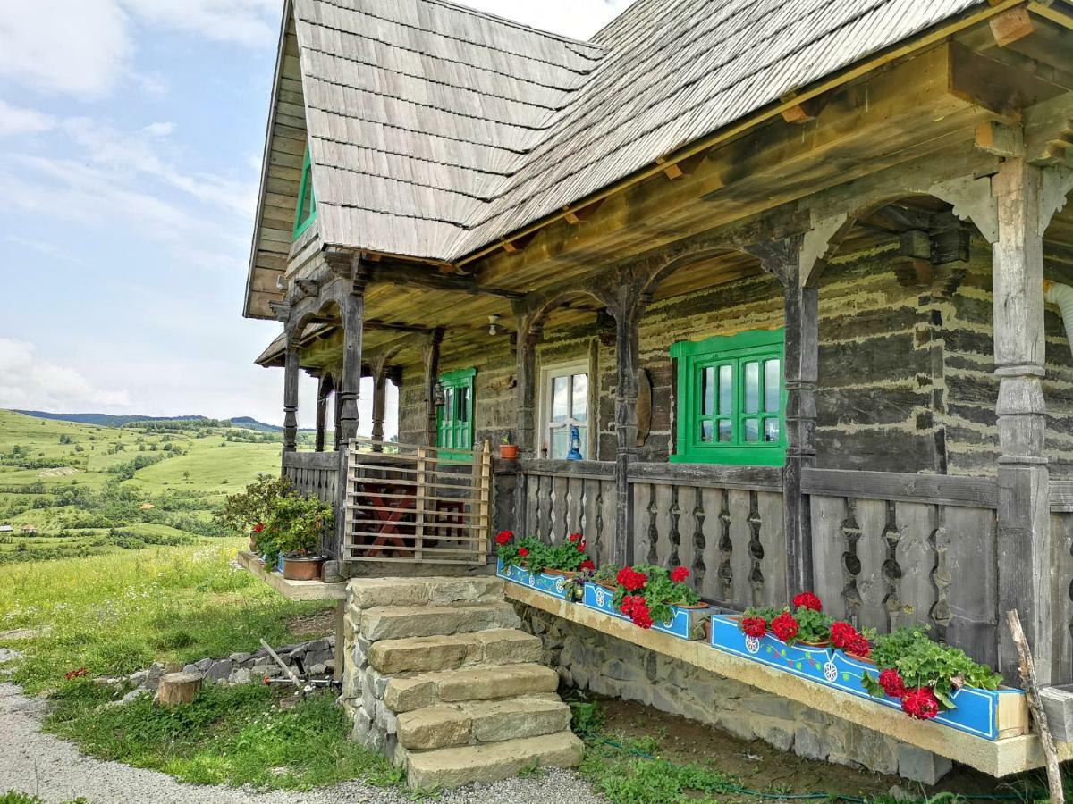 Penzion Casa Glod Glod  Exteriér fotografie