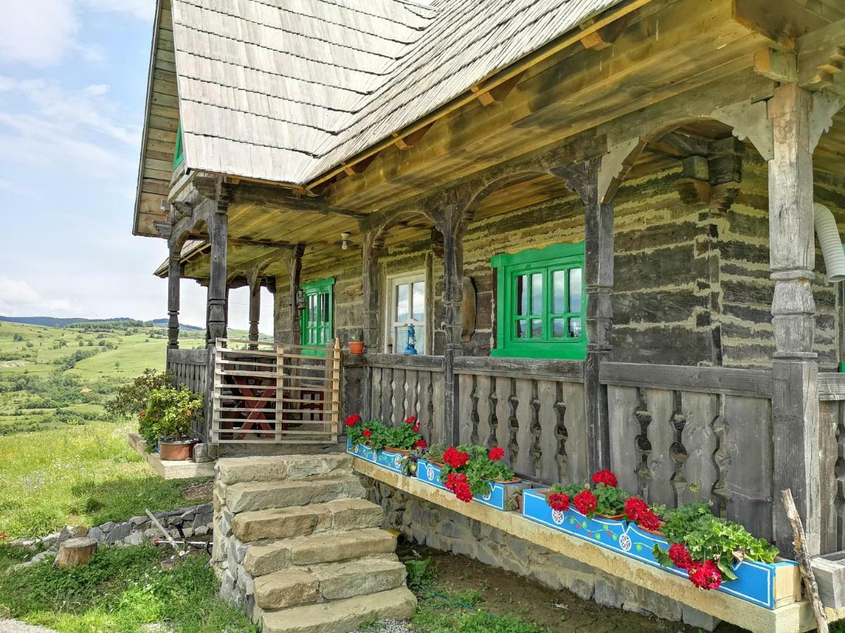 Penzion Casa Glod Glod  Exteriér fotografie