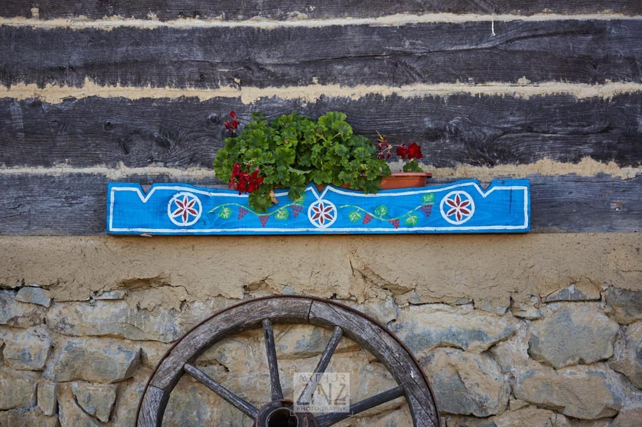 Penzion Casa Glod Glod  Exteriér fotografie